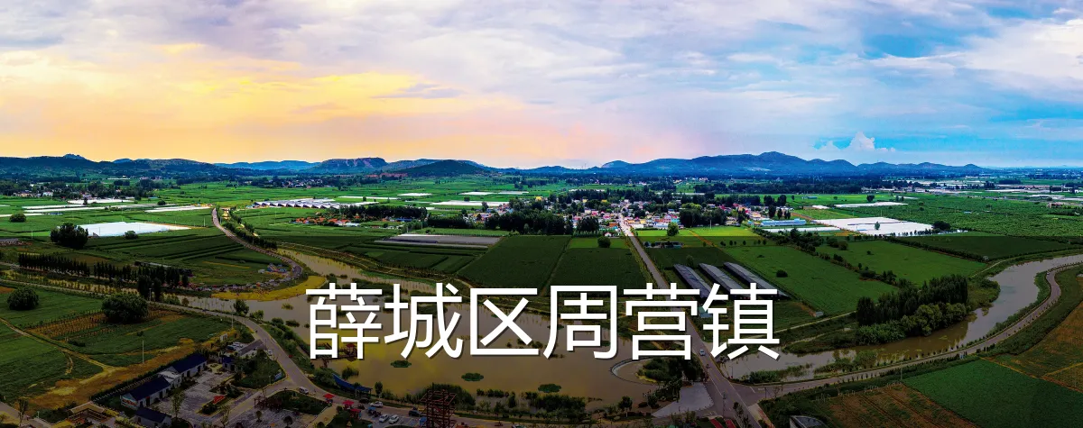 薛城区周营镇